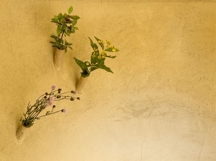 Black Teahouse in Česká Lípa by A1 Architects-25