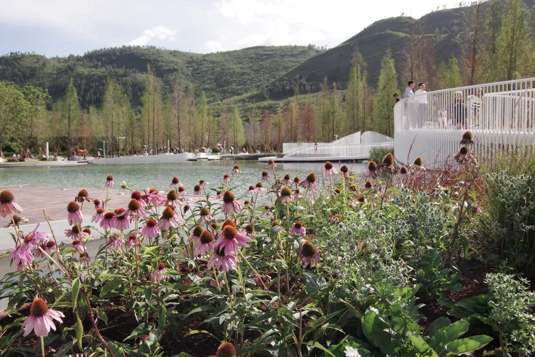 抚仙湖星空小镇 | 生态修复的人与自然和谐共生典范-34