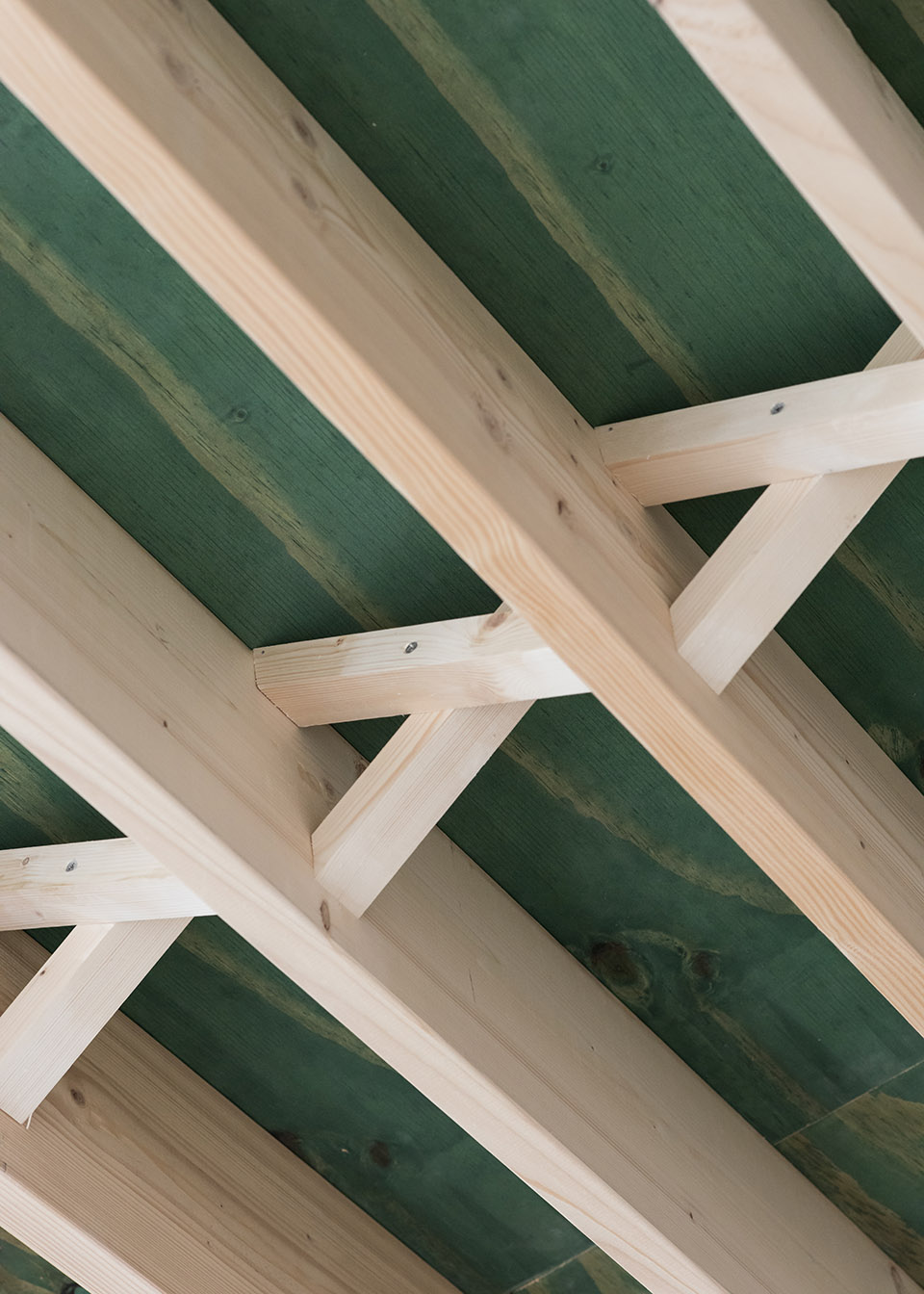 比利时布鲁塞尔“主人之家”翻新-41