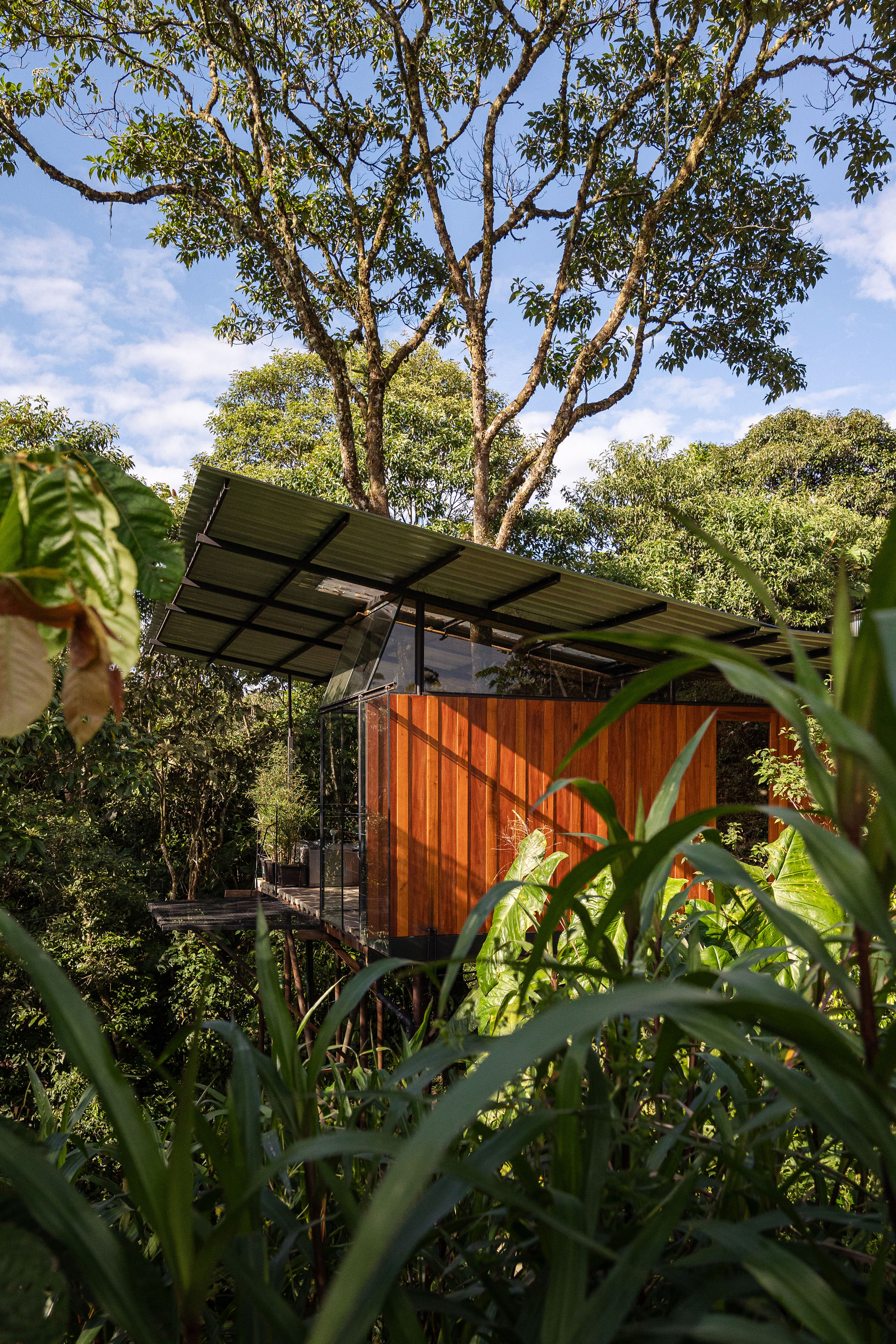 皮圭的一个小屋丨EcuadorPastaza丨Mestizo Estudio Arquitectura-18