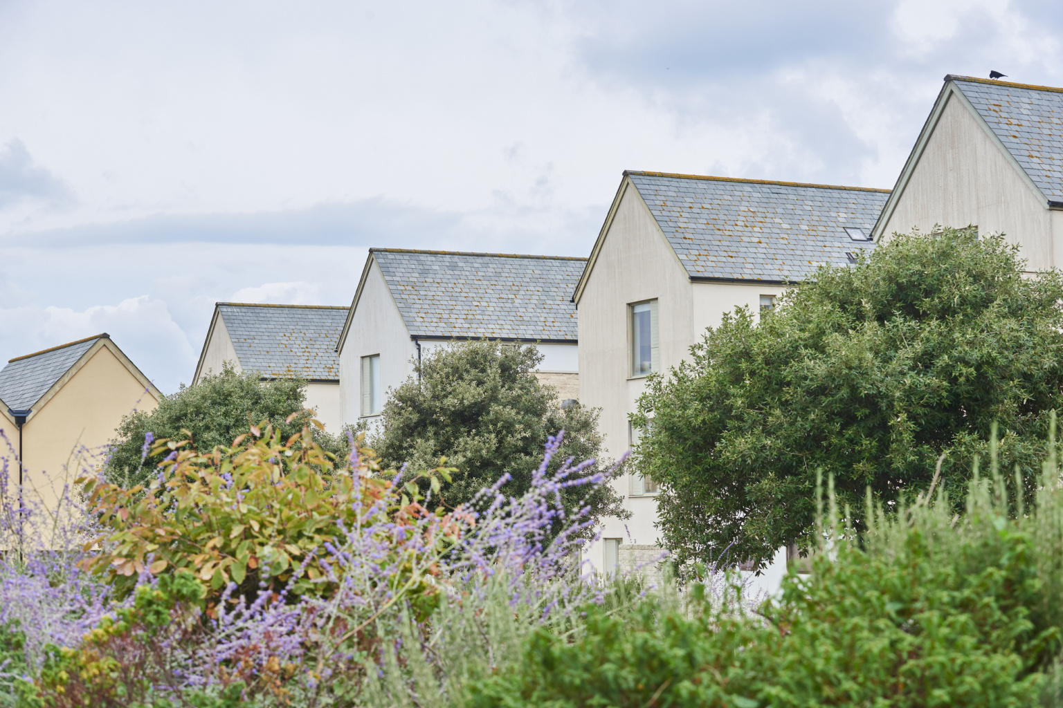 丨英国丨HTA Design-65