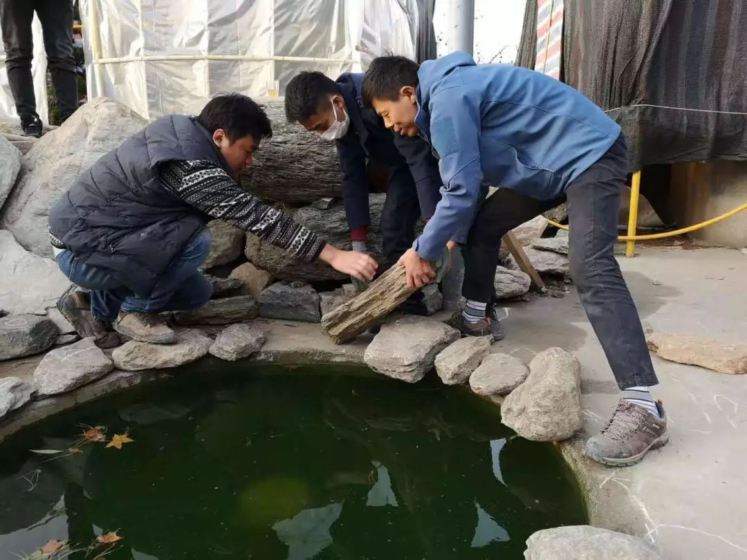和汇造园匠心传承 | 大桥镐志山东实地授课-30
