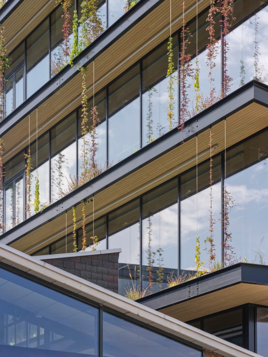 口香糖工厂生产车间改造丨荷兰阿姆斯特丹丨NEXT architects-61