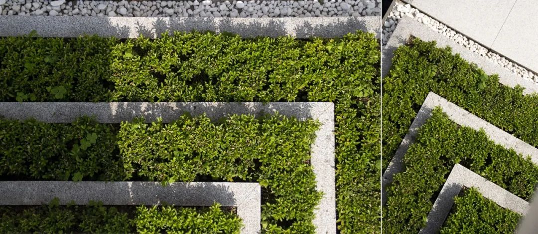 嘉陵江畔的「叠级线条」庭院丨MUSO 设计-49