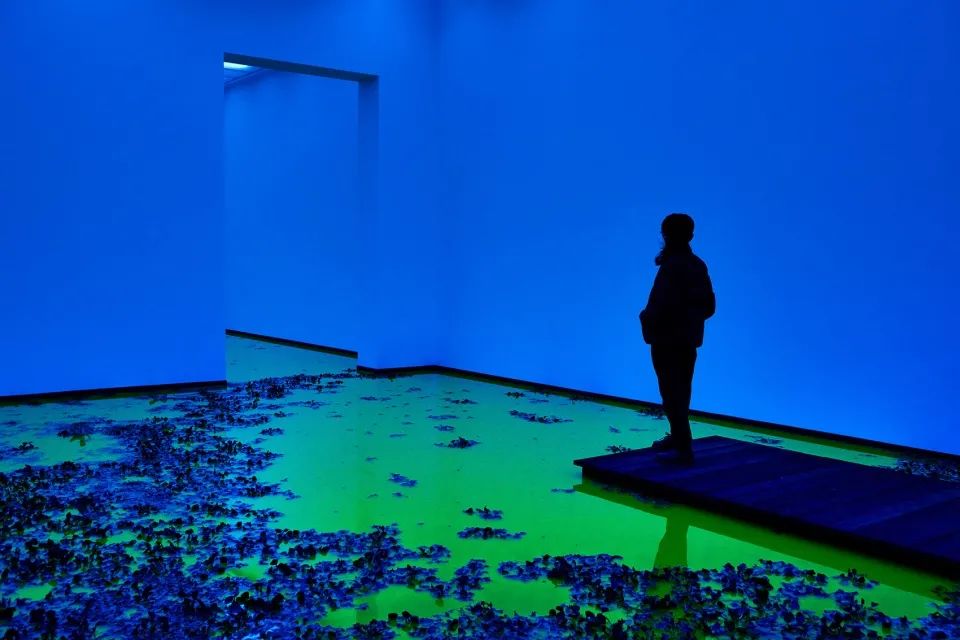 《生命》·融入自然的艺术展览丨Olafur Eliasson-1