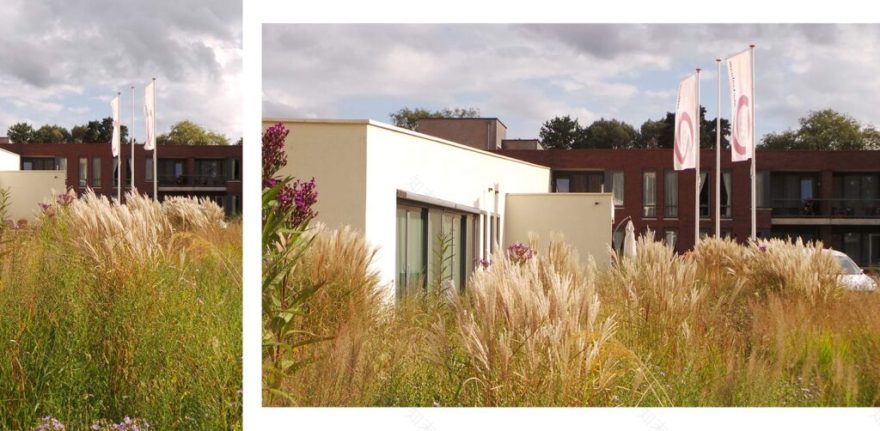 Prairie bedrijfstuin Hengelo - Denkers in Tuinen-18