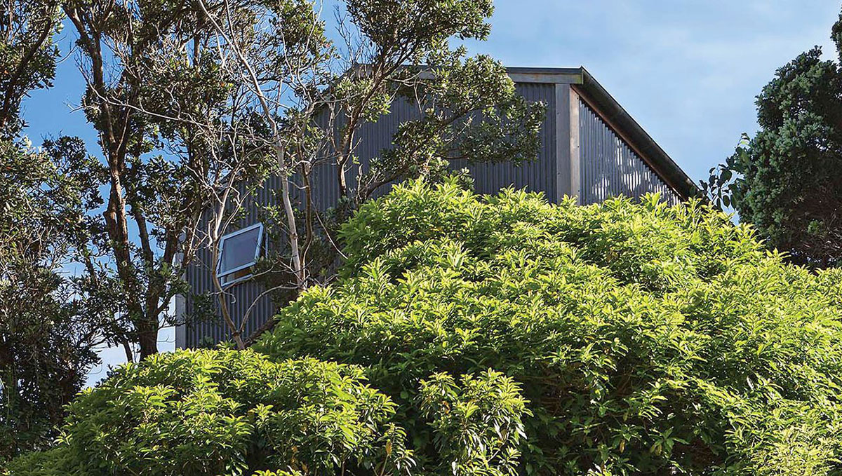 新西兰 50 平米玻璃墙小屋 | 极简与自然的完美结合-16