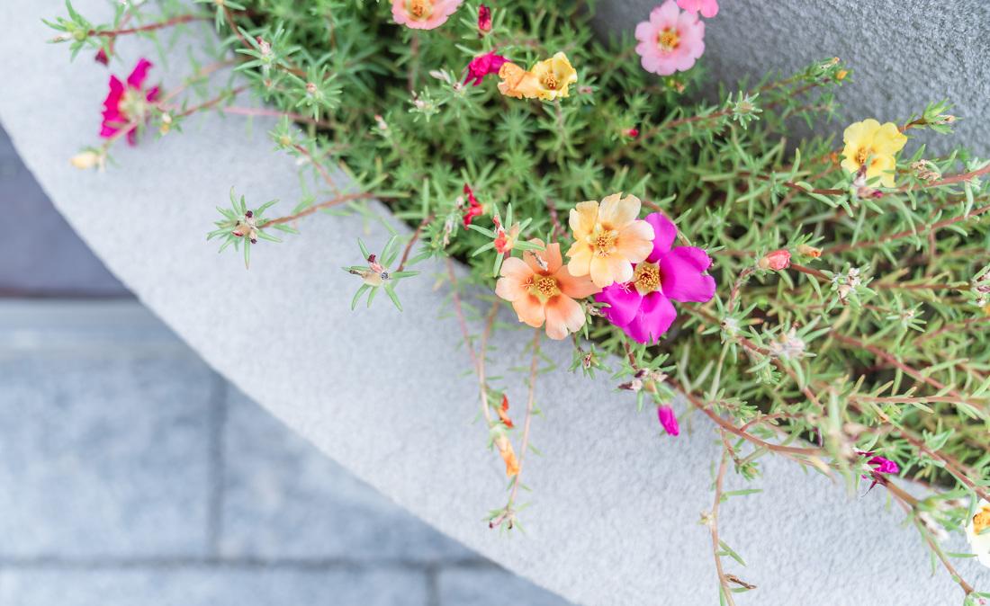 壹仙壹谷民宿-152