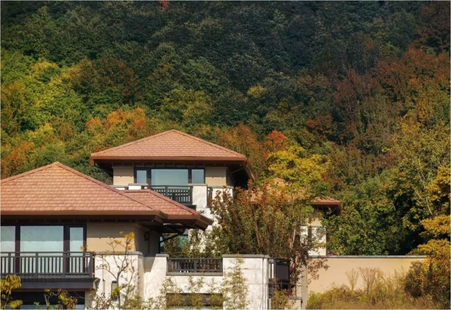 《富春新山居》 | 万科公望森林别墅自然生长的设计之美-46