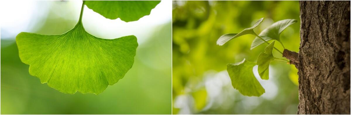 南溪欢乐田园野趣酒店树屋设计丨中国宜宾丨王晖建筑工作室-17