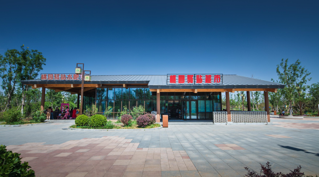 沧州园博园公共楔景观设计丨中国沧州-8