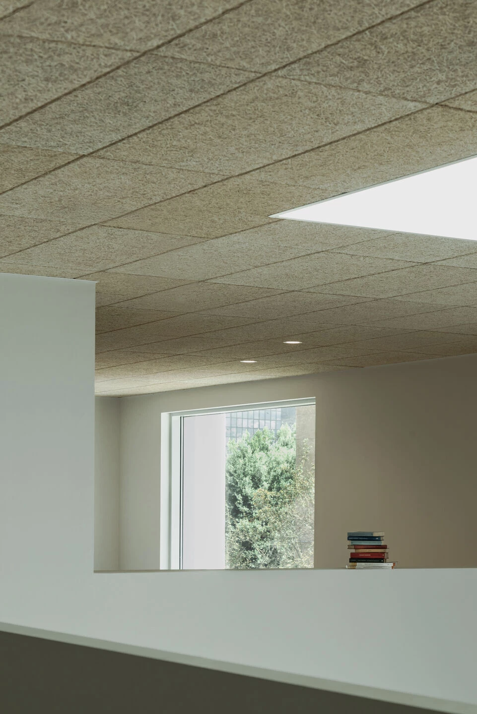 San Giusto 高中丨意大利丨Colucci&Partners-21