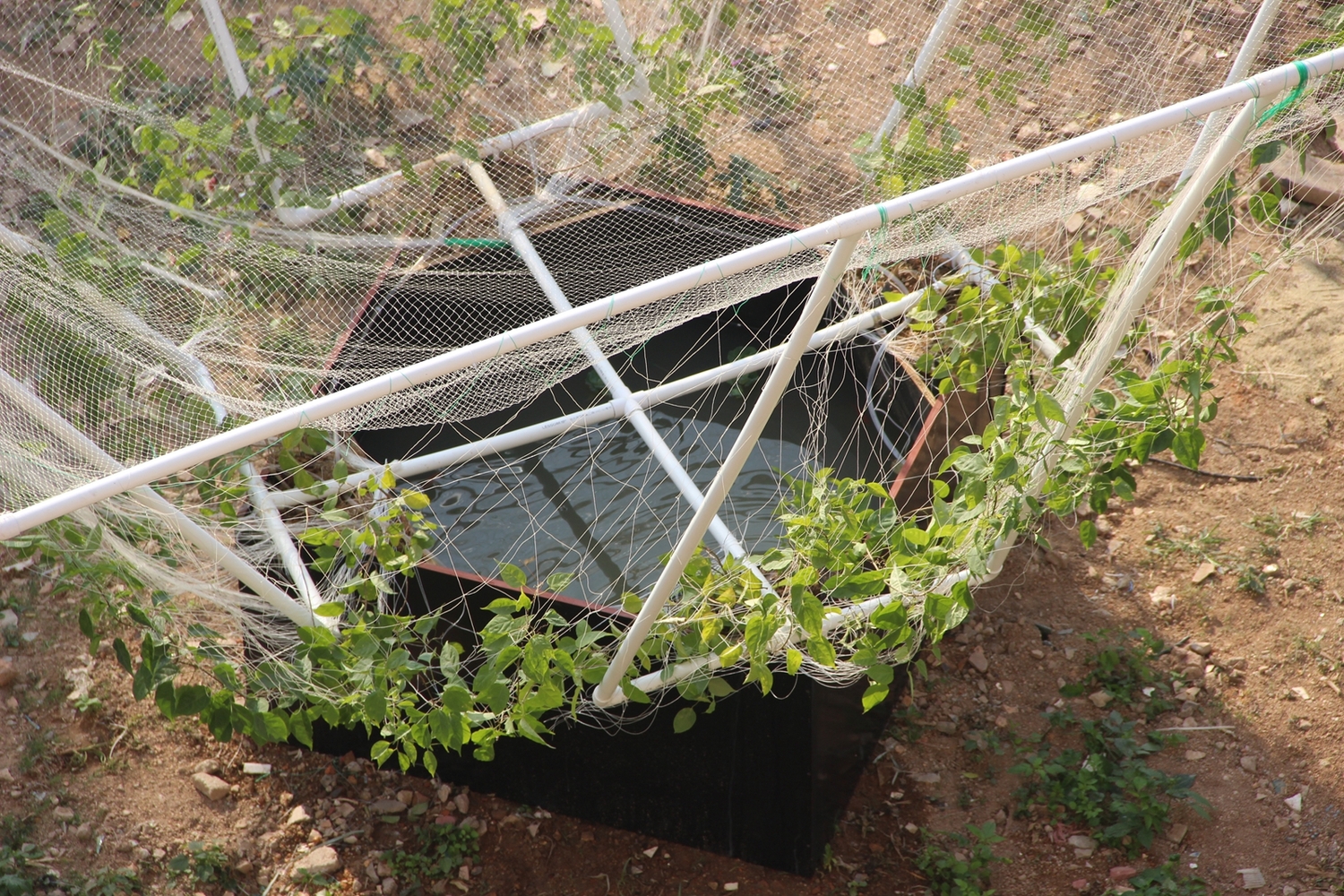 深圳天际农场 · 农民智慧融入城市更新-37