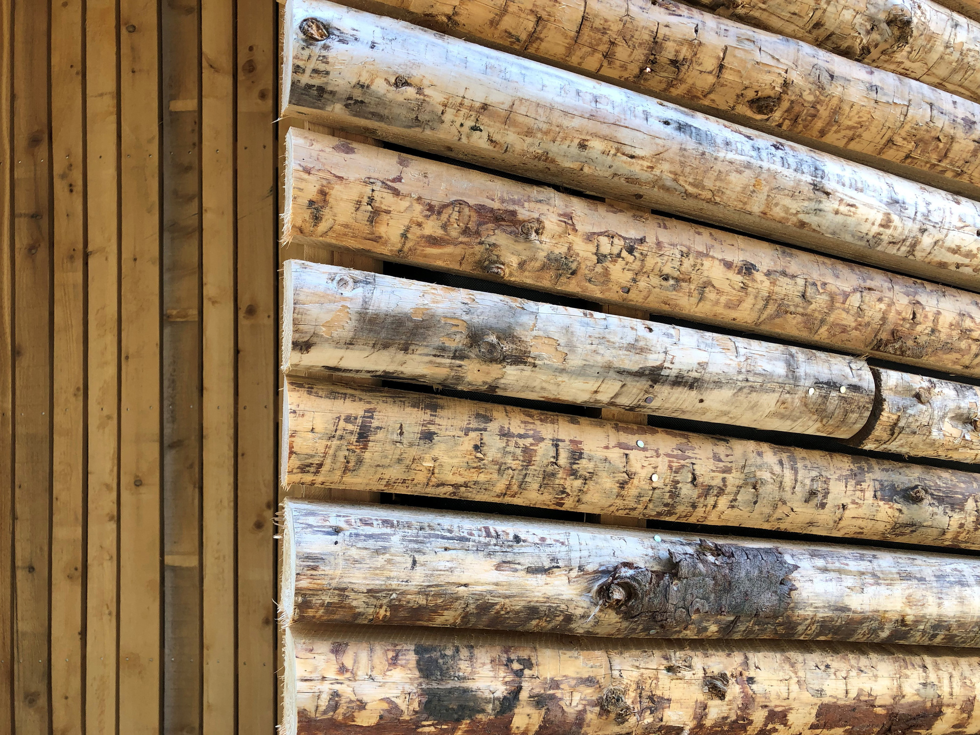 Natural Cemetery 'de Utrecht' Reception Pavilions / architecten|en|en -42