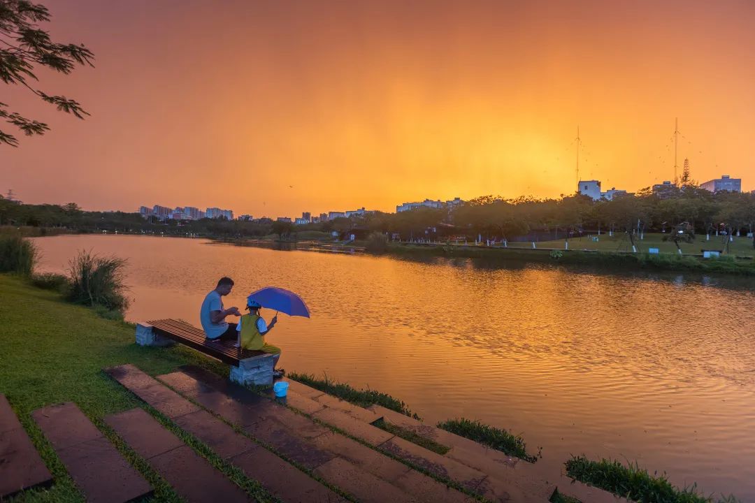 海口市美舍河凤翔湿地公园丨中国海口丨土人设计-94