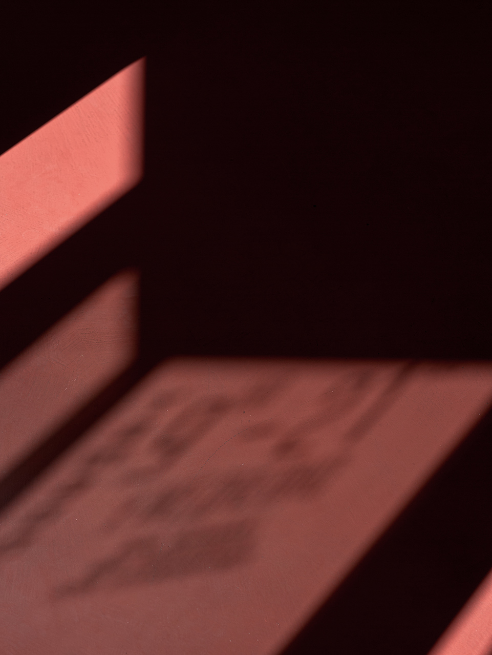 Tamago Kissaten 咖啡和甜品店丨俄罗斯加里宁格勒丨DA bureau-47