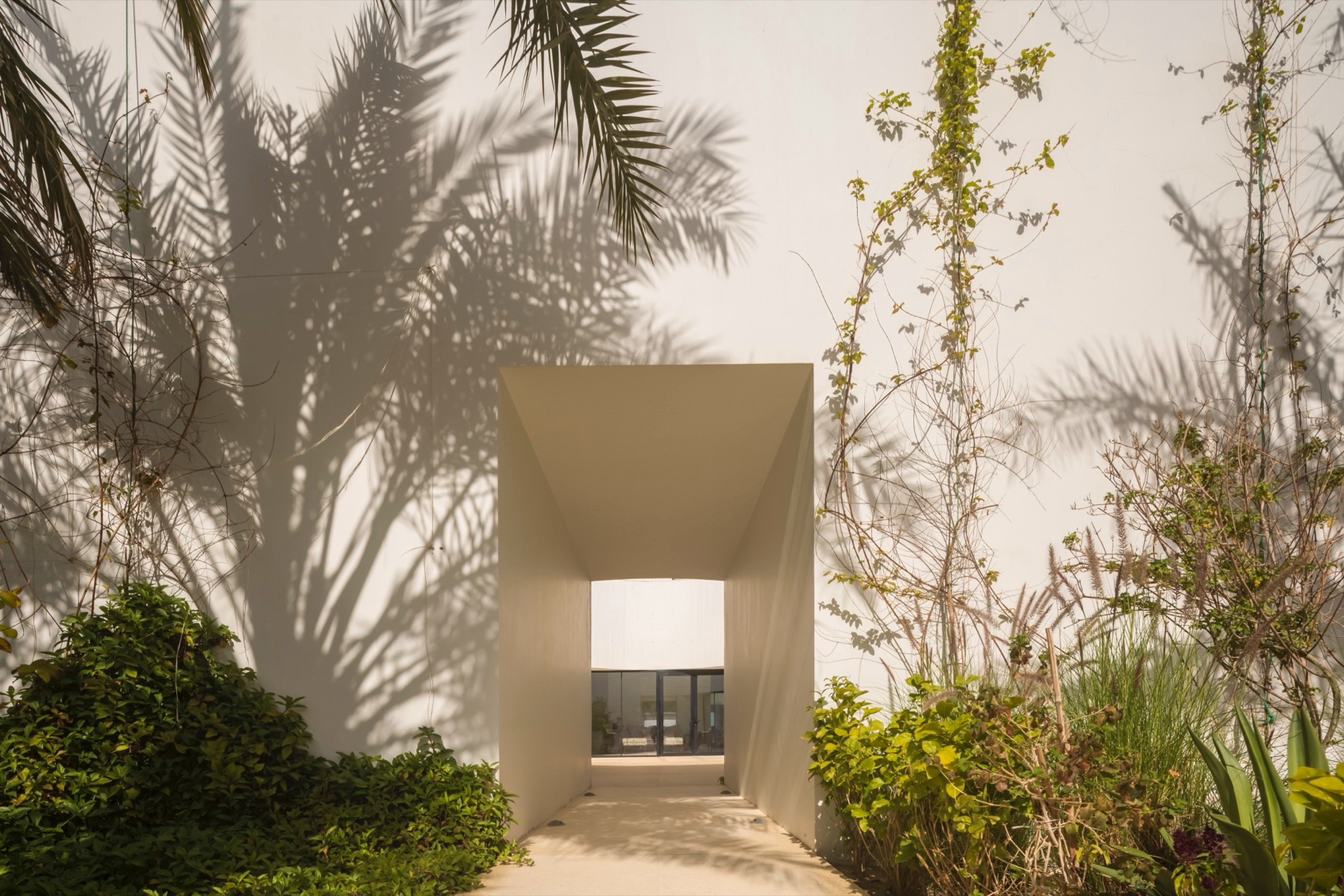 白色堡垒住宅丨TAEP,AAP-19