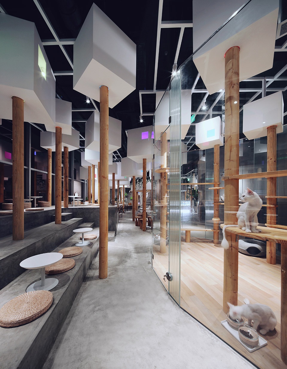 TFB 动物咖啡厅 · 人造森林中的治愈空间-22