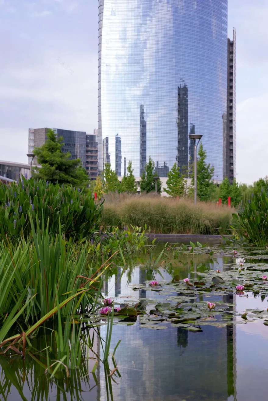 树木图书馆公园丨意大利米兰-43