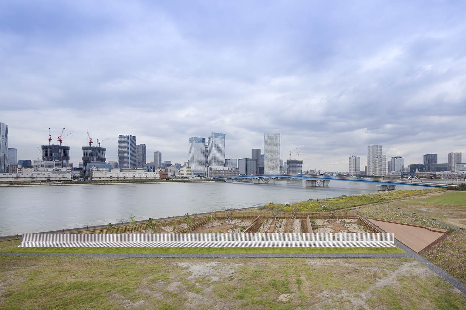 东京湾中心 · 绿色交叉项目丨日本东京丨三谷彻等-18