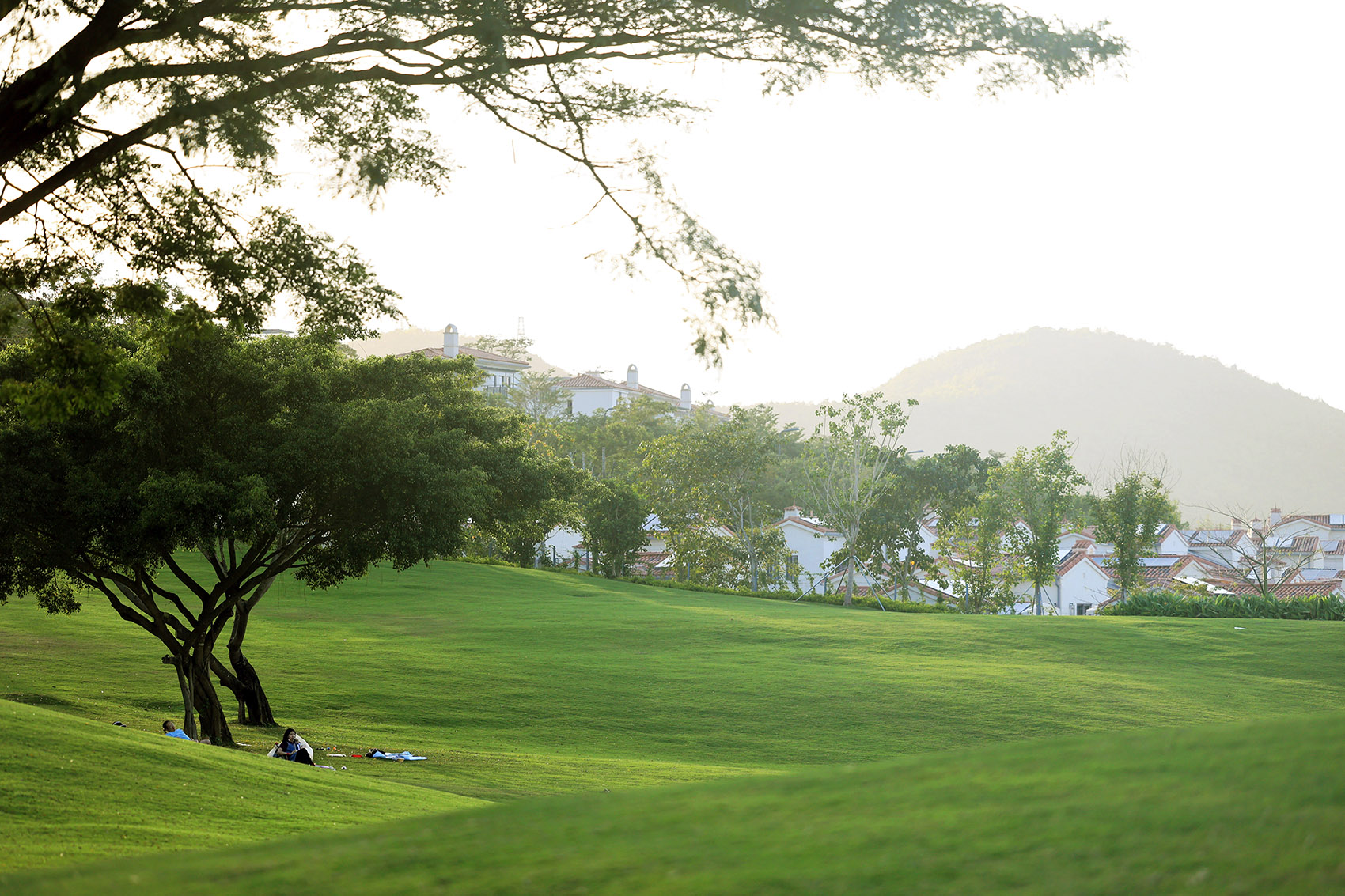 阿那亚三亚南花园丨中国三亚丨Z’scape致舍景观-60
