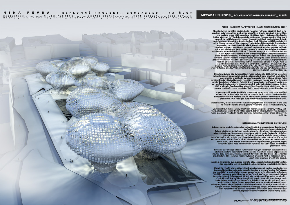 丨捷克丨Nina Pevná-3