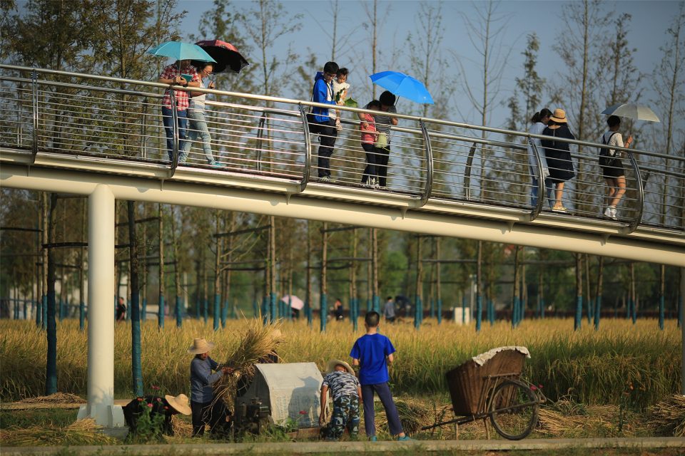 城头山遗址外围景观再现-31