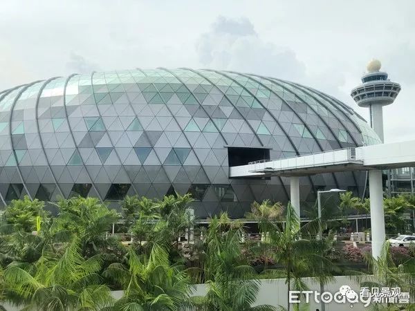 星耀樟宜 | 雨漩涡与绿意交织的机场奇迹-4