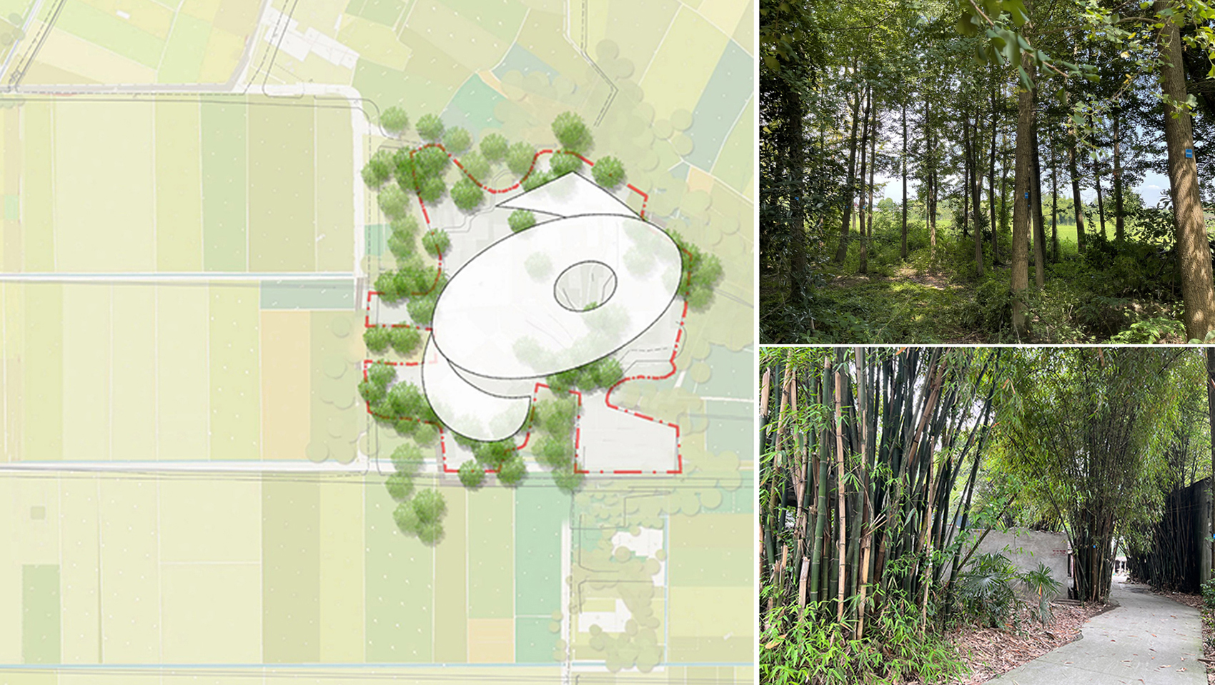 豆瓣博物馆丨中国成都丨中国建筑西南设计研究院有限公司郑勇工作室等-11