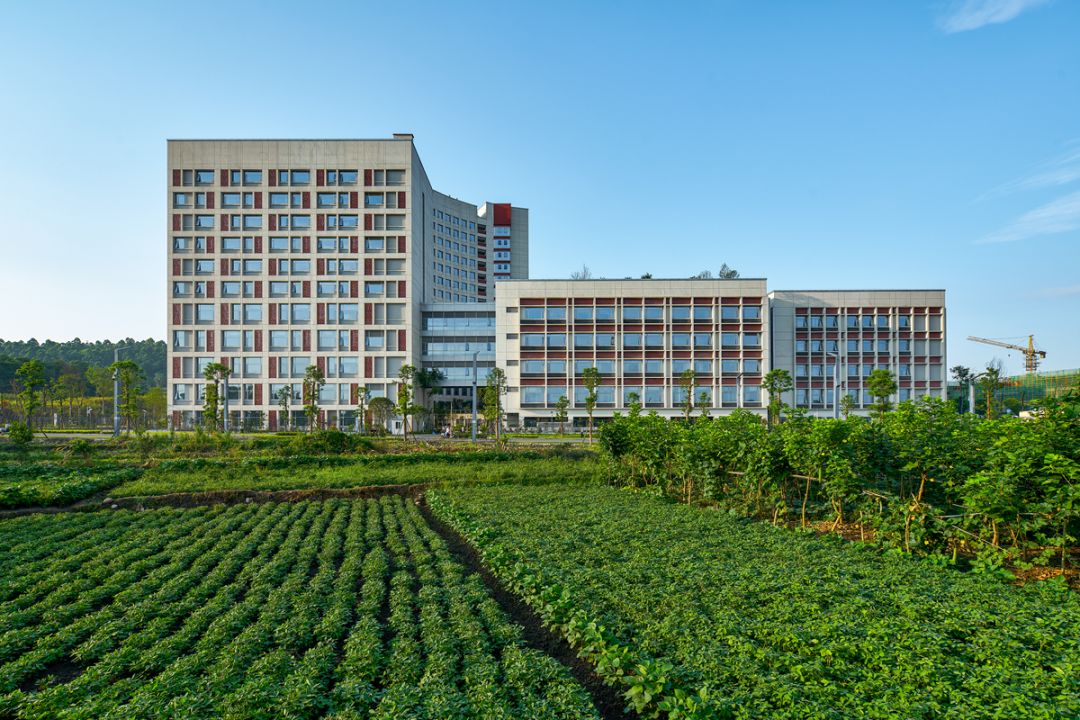 李庄同济医院丨中国宜宾-34