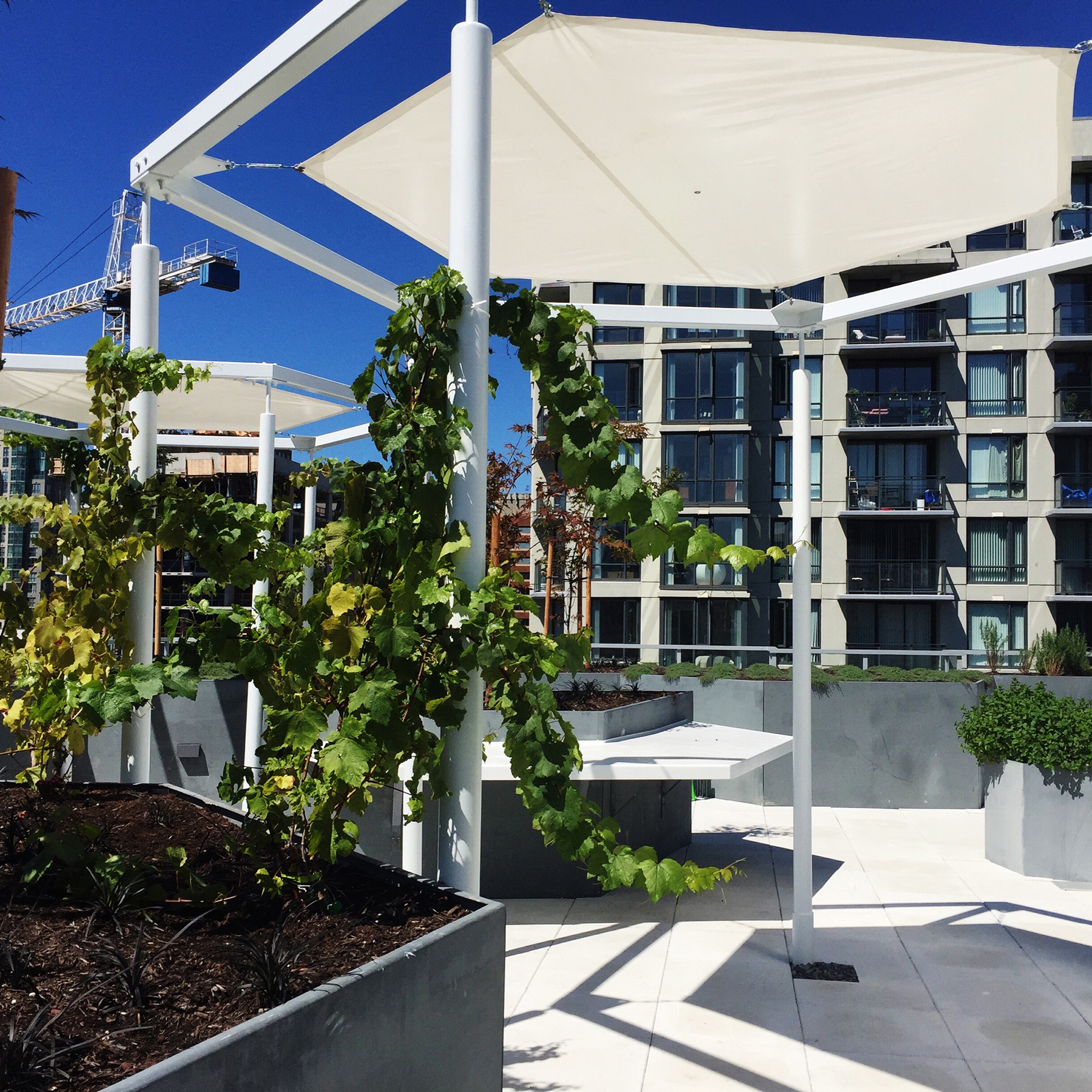 新喜屋住宅区-13