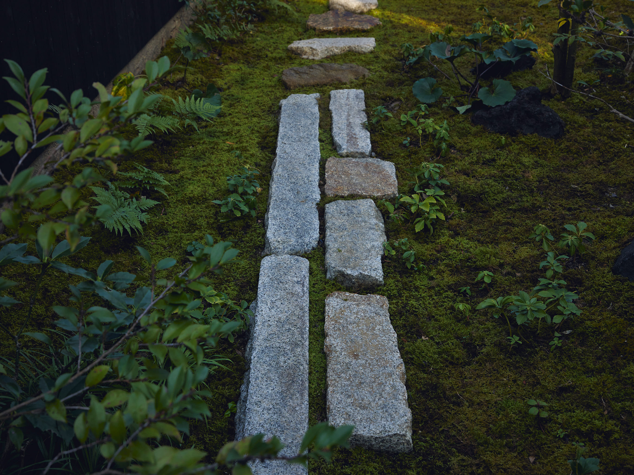 本岛避难所丨日本丨Makoto Yamaguchi-42