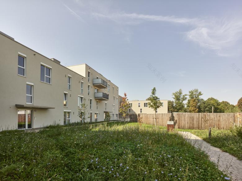 特拉特纳赫住宅区丨奥地利丨Bogenfeld Architektur-2