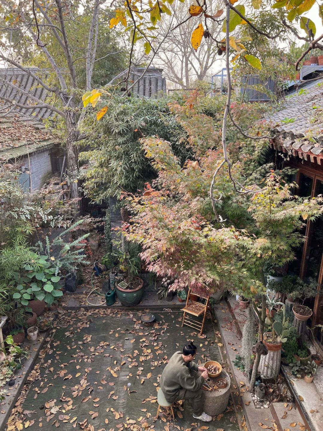 绿意盎然之家 · 北京四合院改造设计丨中国北京-77