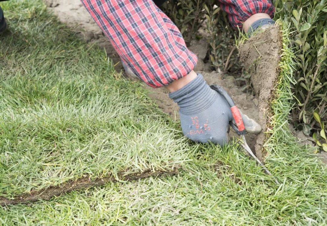 东町造园年终盛宴，专业施工打造精致花园-33