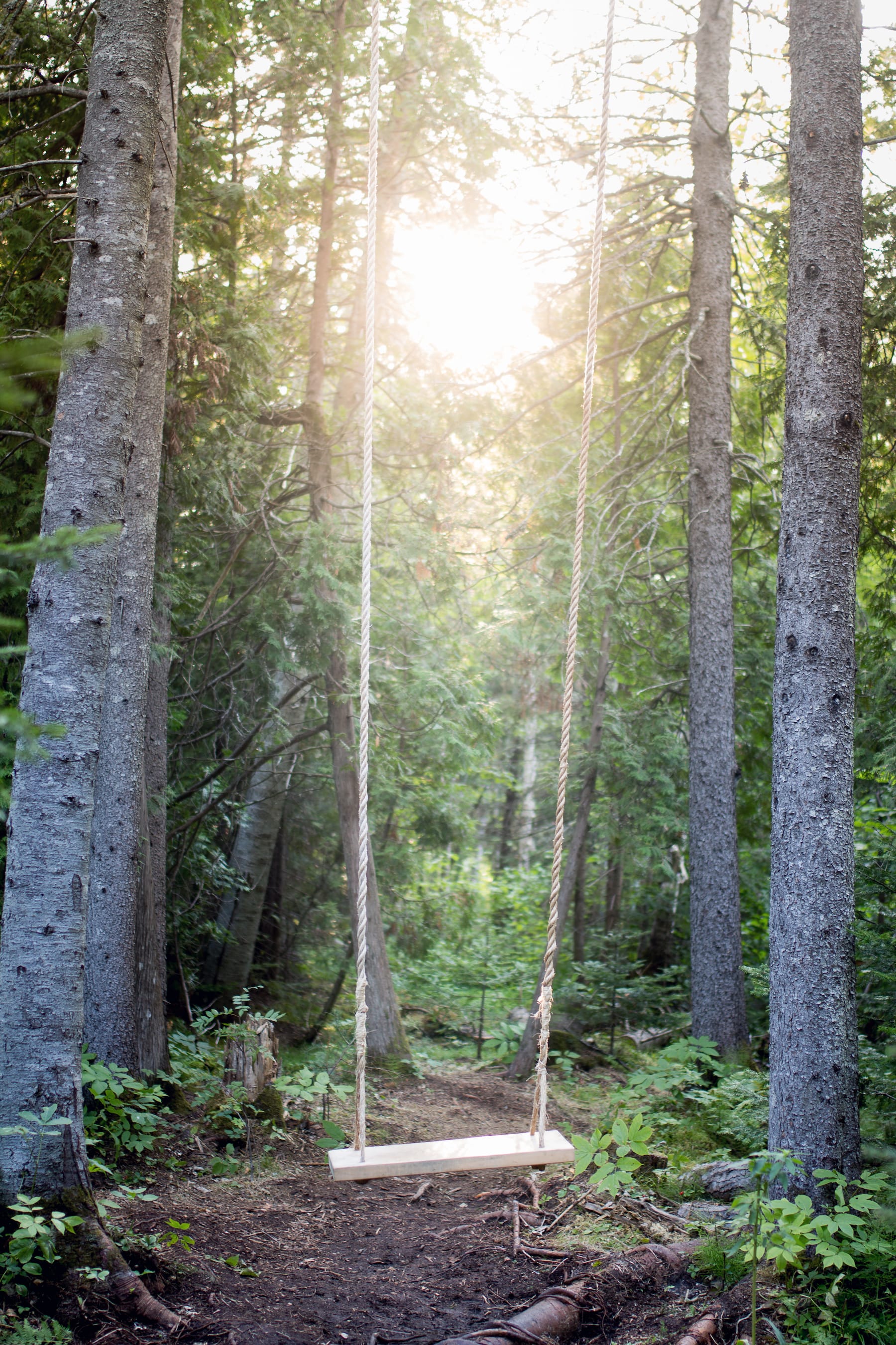 2019加拿大国际花园节(第二部分),Reford Gardens-31