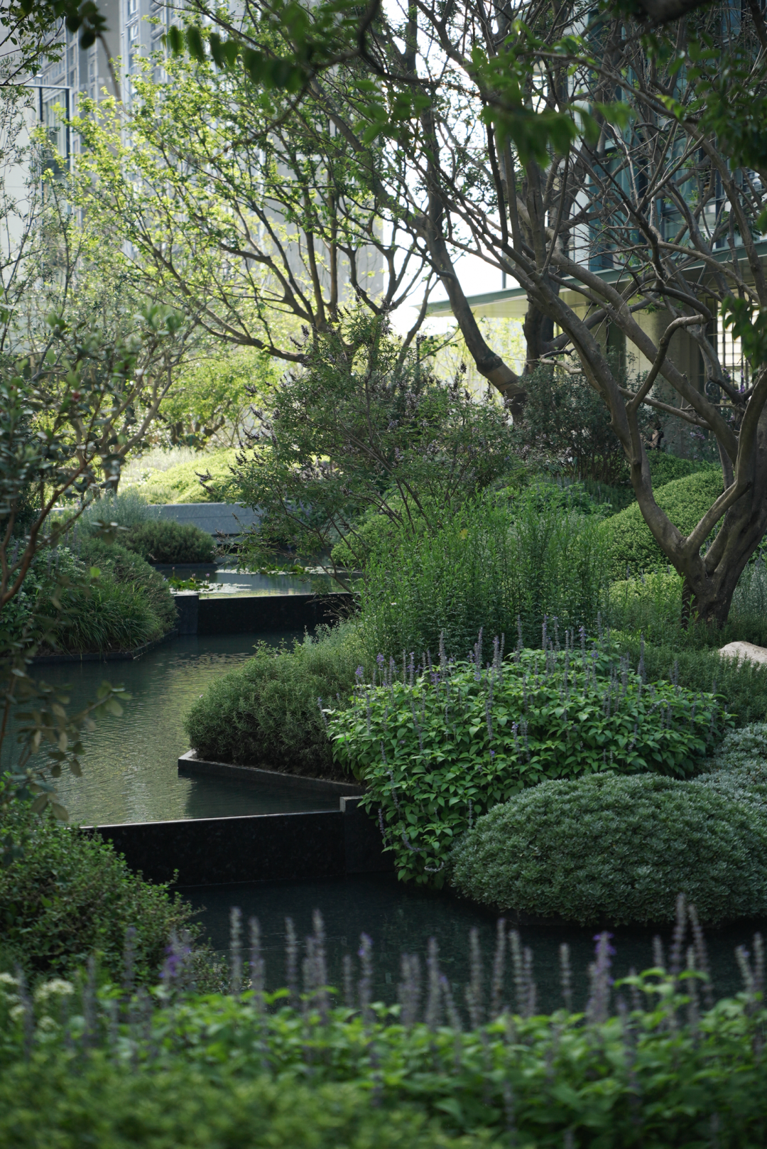 在蓝绿森境里，续写自然与轻奢的故事——华润置地时代之城二期花境-21