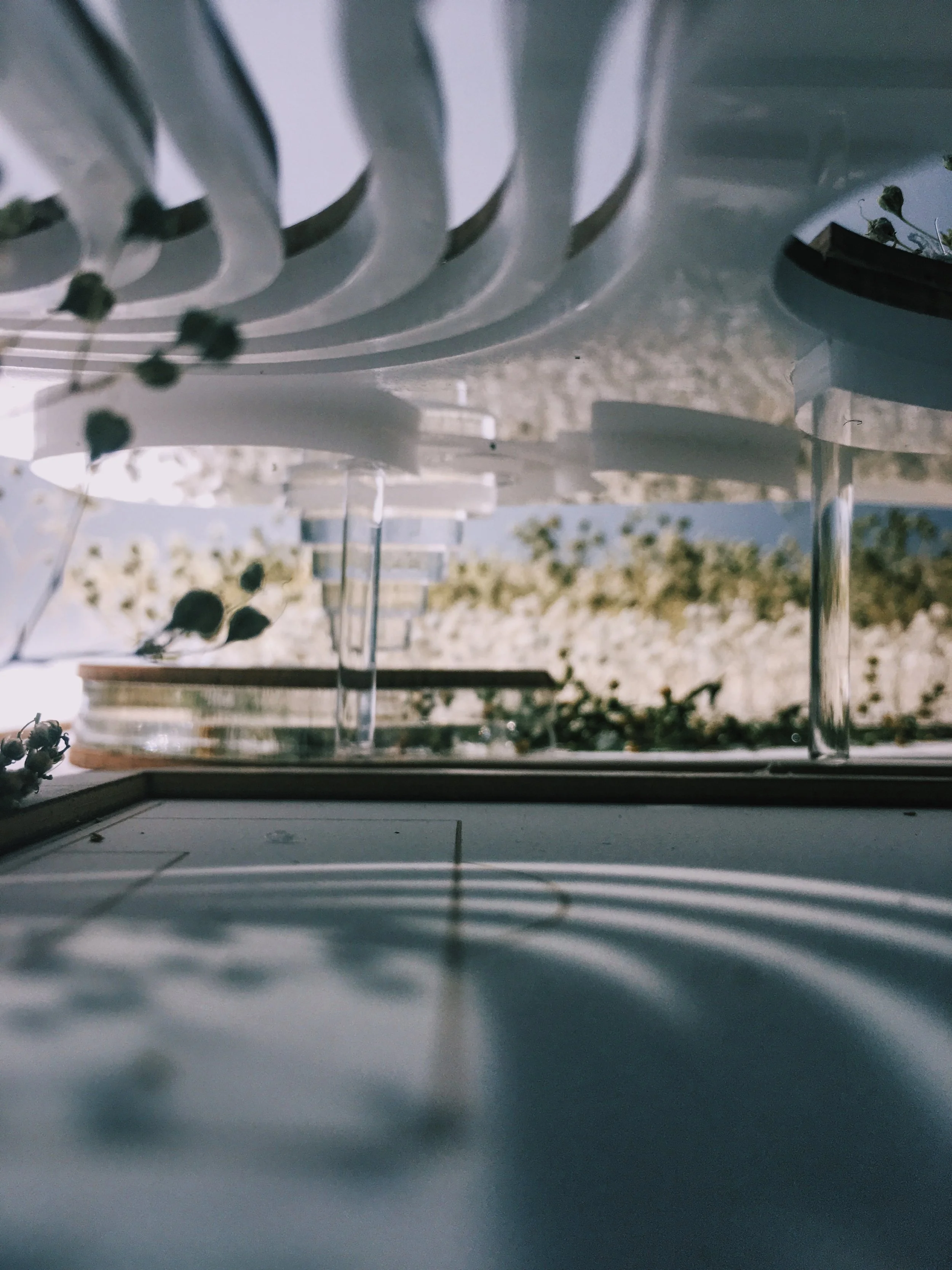 城市树木农场 + 公园丨美国曼哈顿-23