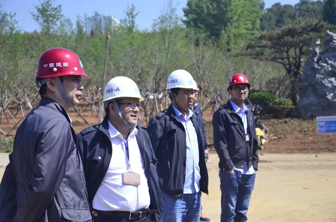 讲述 | 守护在“高原明珠”的绿色工匠-15