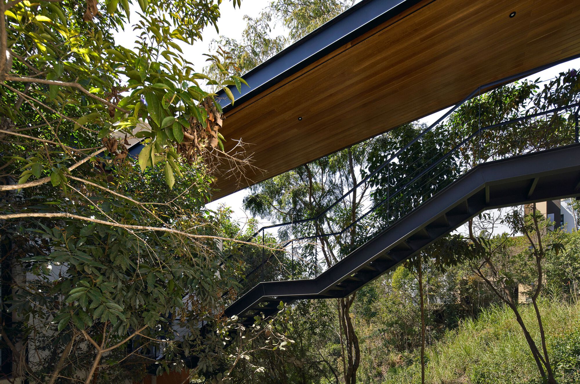 森林中的房屋丨Brazil丨TETRO Arquitetura-31