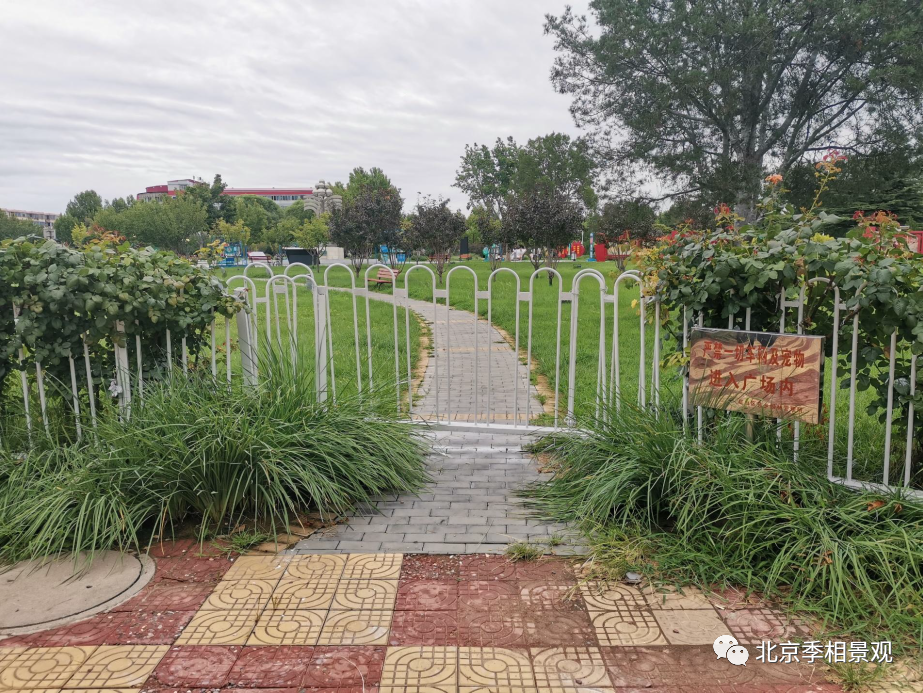 房山府前广场“拆栏透绿”改造丨中国北京丨房山区园林绿化局-24