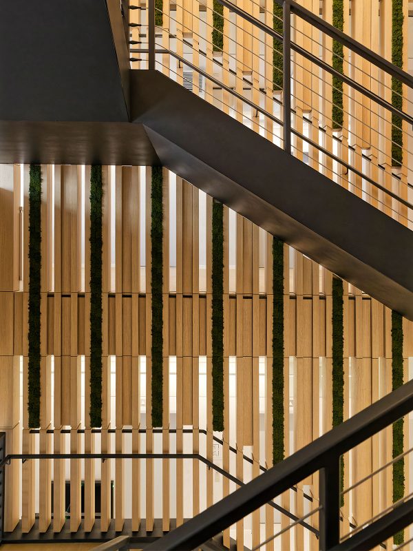 华人策划协会，纽约 -11