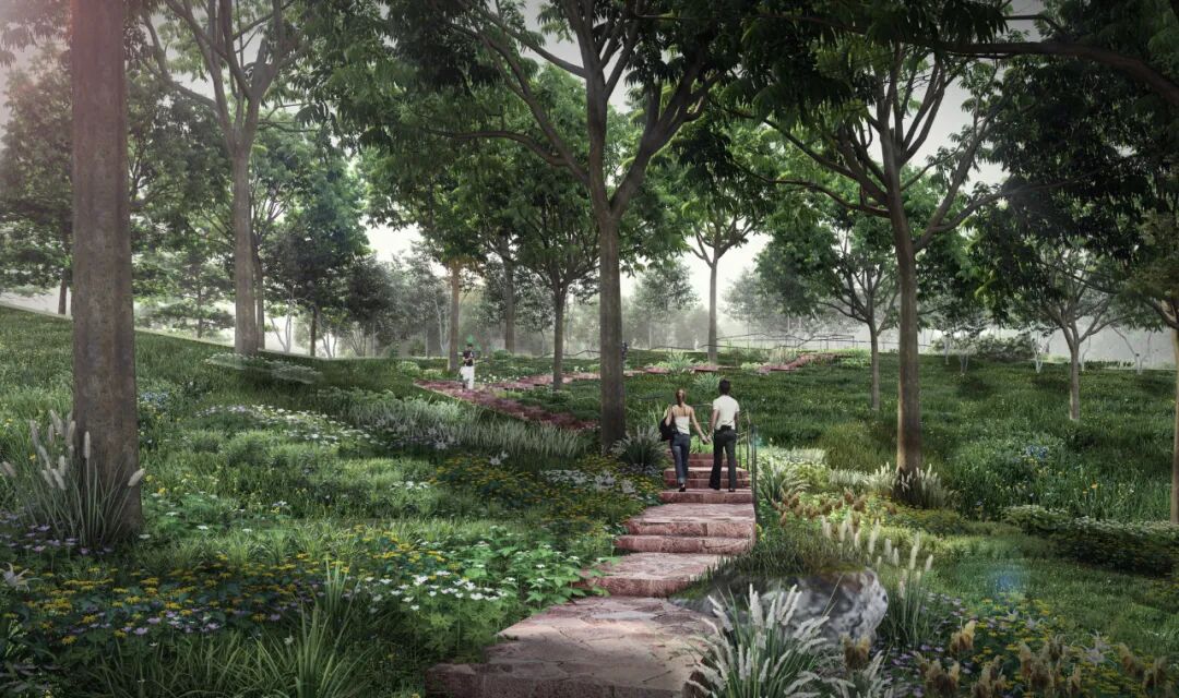 城市掌心的生态山野——麓野公园-119