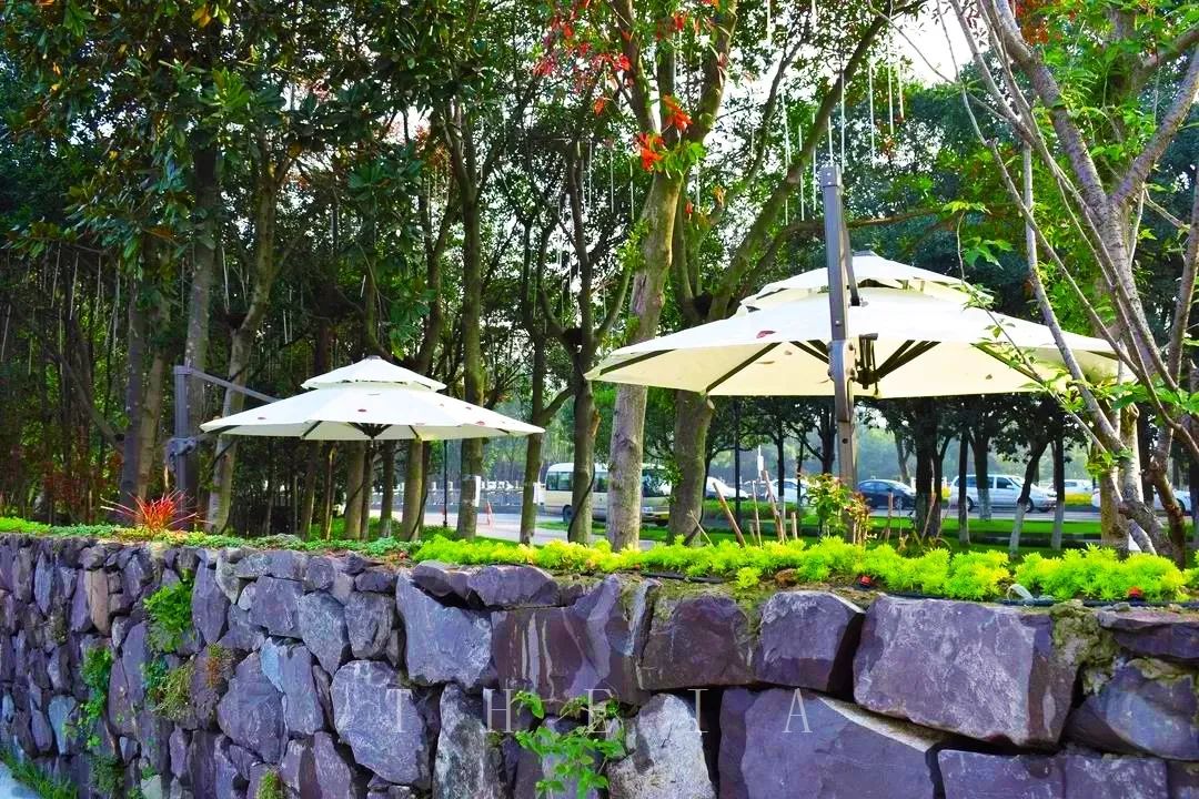 迪赛·东篱 | 闲田信步,采菊东篱-71