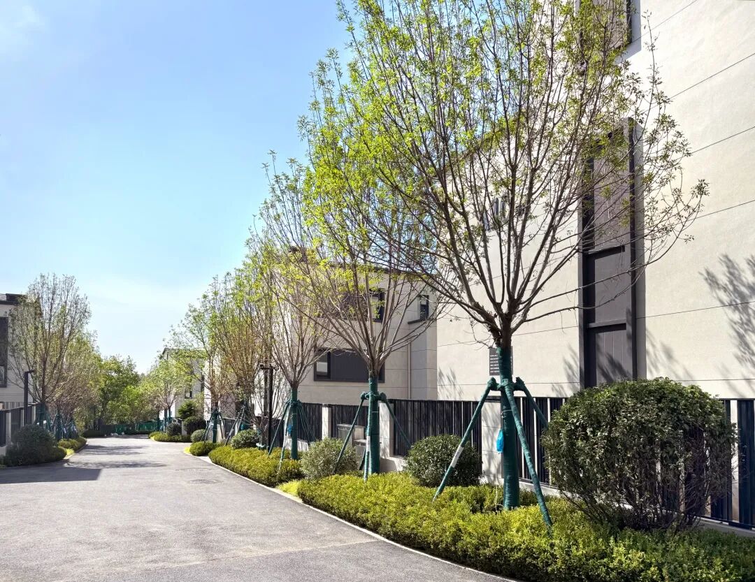 沈阳风景园林股份有限公司施工作品展I越秀·沈阳岄湖郡七期项目园建绿化工程-29