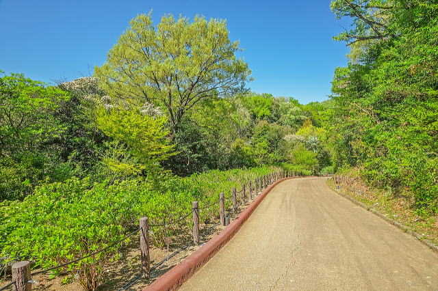 名古屋市东山动植物园之植物园丨日本爱知-76