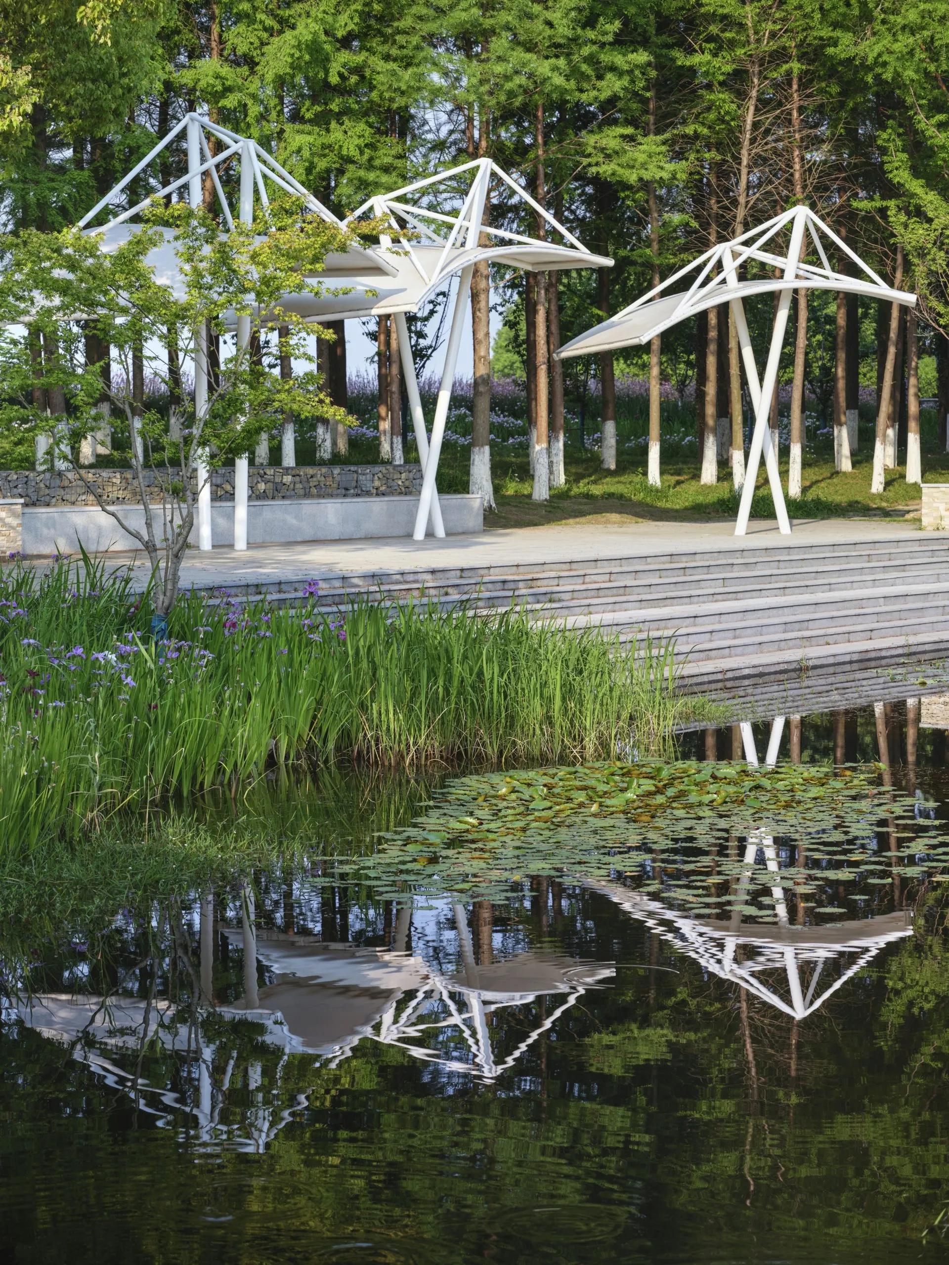 【案例分享】大溪港湖湾儿童友好湿地公园-25