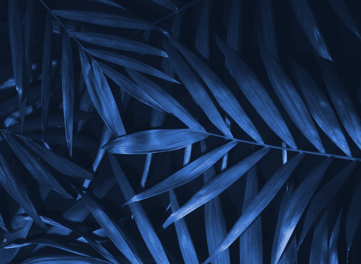 阿尔夏卡·孔罗托丨沙特阿拉伯-19