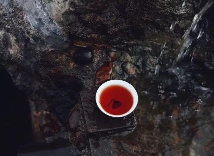 山居岁月 | 与自然共舞的生活美学-31