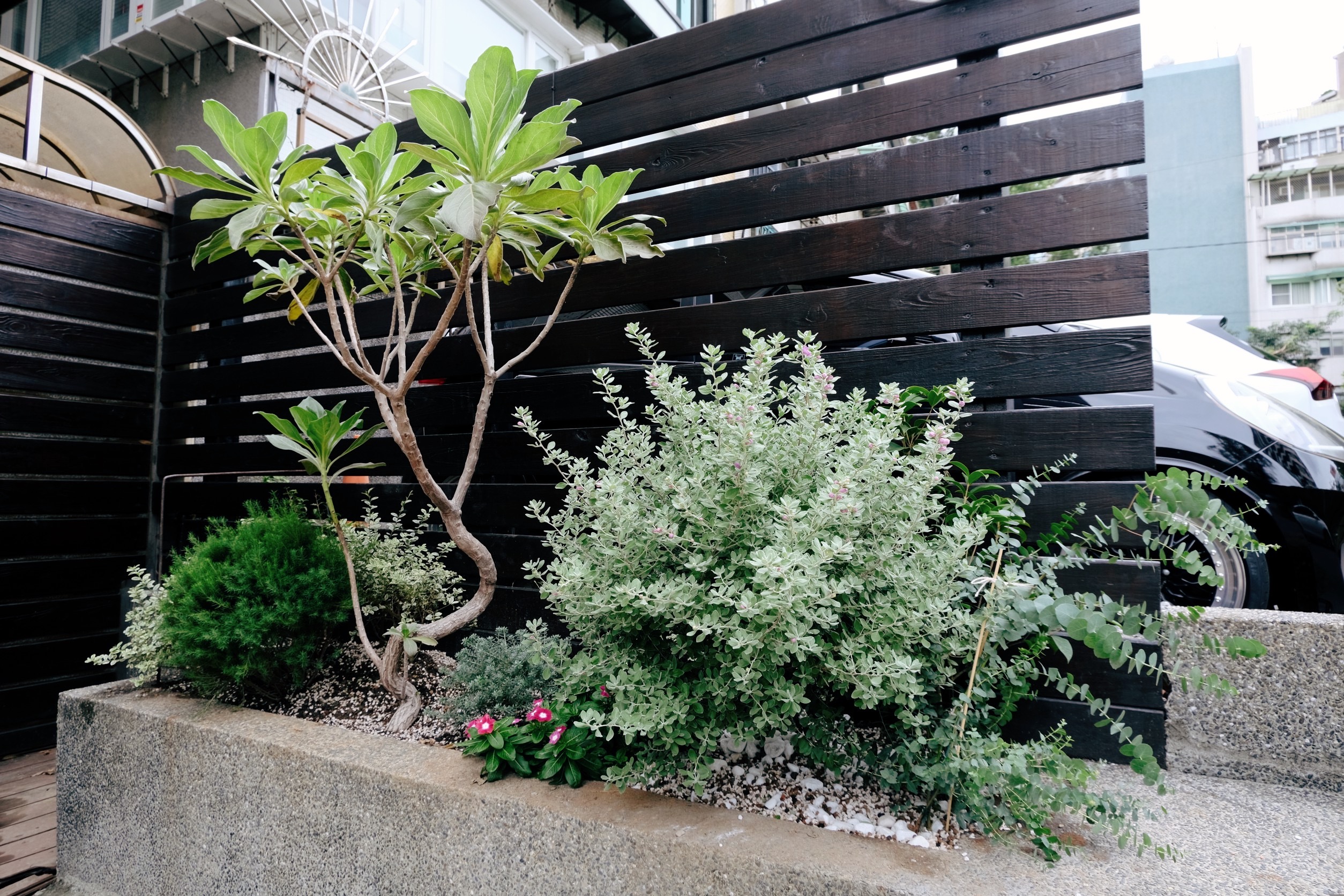 住宅案｜天母｜花園植栽設計-1